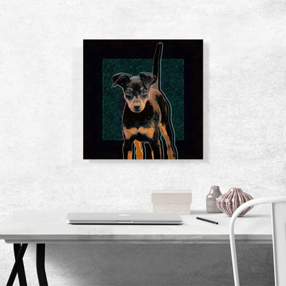 Miniature Pinscher Dog Breed