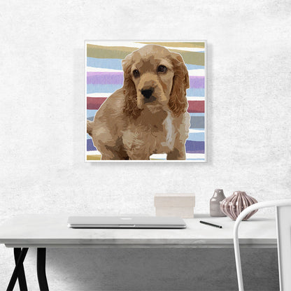 American Cocker Spaniel Dog Breed