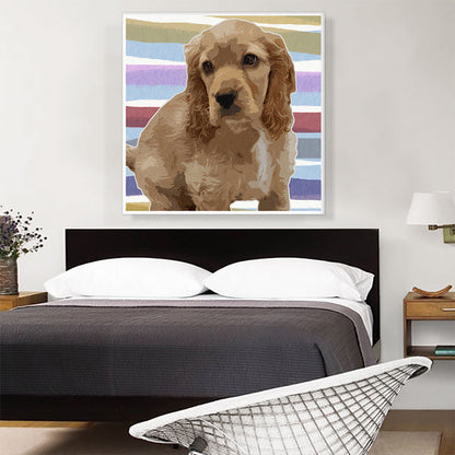 American Cocker Spaniel Dog Breed