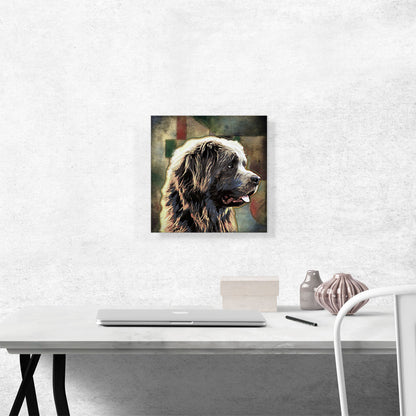 Newfoundland Dog Breed