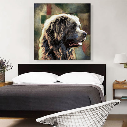 Newfoundland Dog Breed