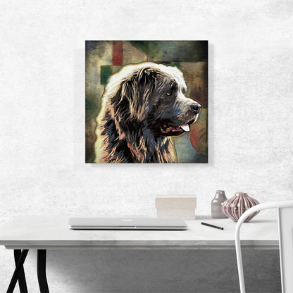 Newfoundland Dog Breed