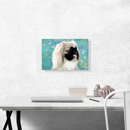 Pekingese Dog Breed Teal White Flowers