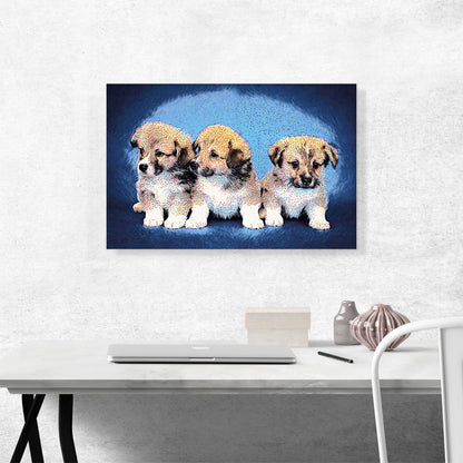 Pembroke Welsh Corgi Dog Breed Puppies