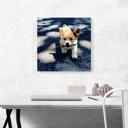 Pembroke Welsh Corgi Dog Breed Puppy