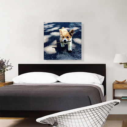 Pembroke Welsh Corgi Dog Breed Puppy
