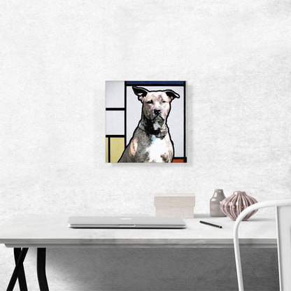 Pit Bull Terrier Dog Breed Modern