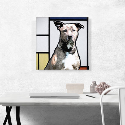 Pit Bull Terrier Dog Breed Modern