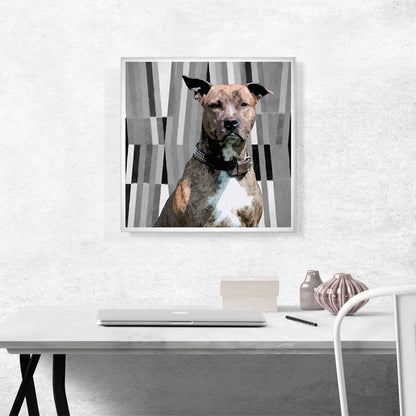 Pit Bull Terrier Dog Breed
