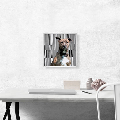 Pit Bull Terrier Dog Breed