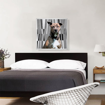 Pit Bull Terrier Dog Breed