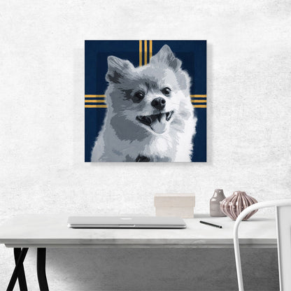 Pomeranian Dog Breed Blue Yellow Modern