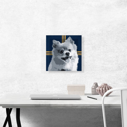 Pomeranian Dog Breed Blue Yellow Modern
