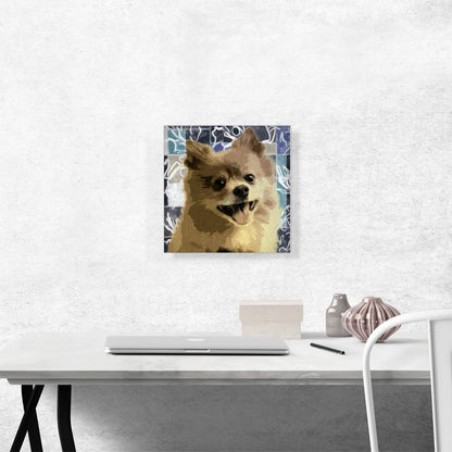 Pomeranian Dog Breed