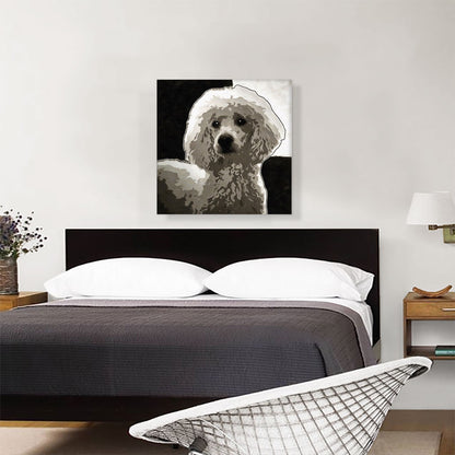 Poodle Dog Breed Black White