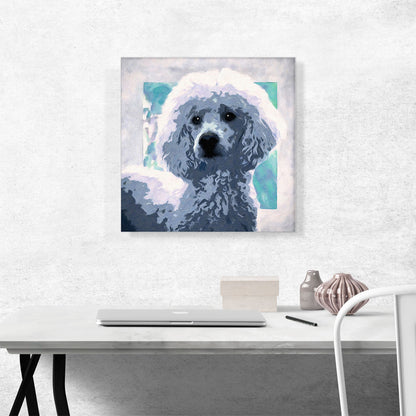 Poodle Dog Breed