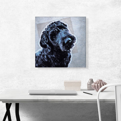 Portuguese Water Dog Breed