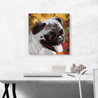 Pug Dog Breed