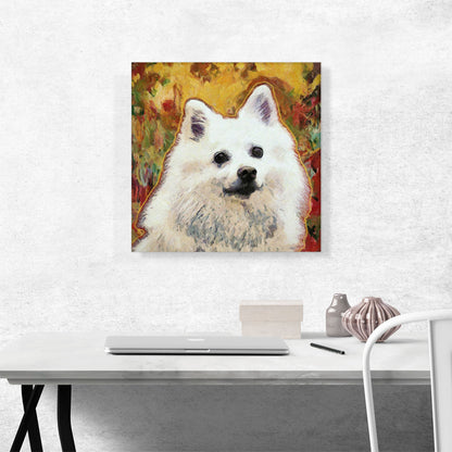 American Eskimo Dog Breed Yellow Red