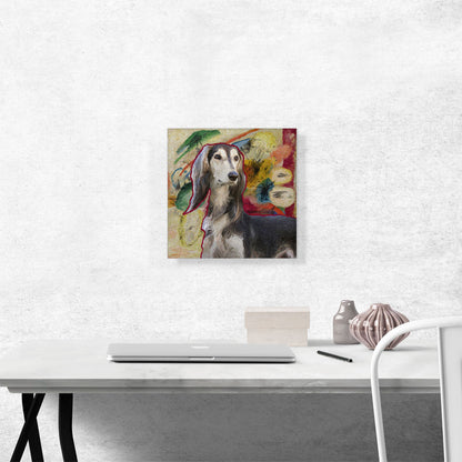Saluki Dog Breed