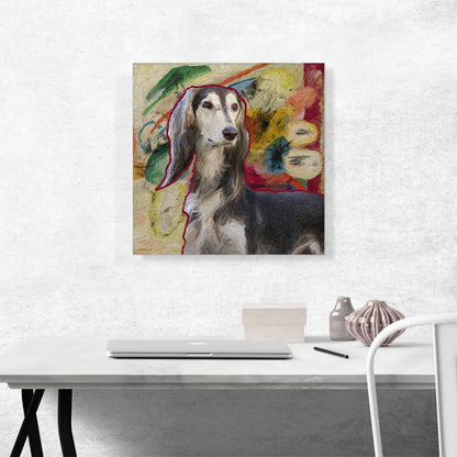 Saluki Dog Breed