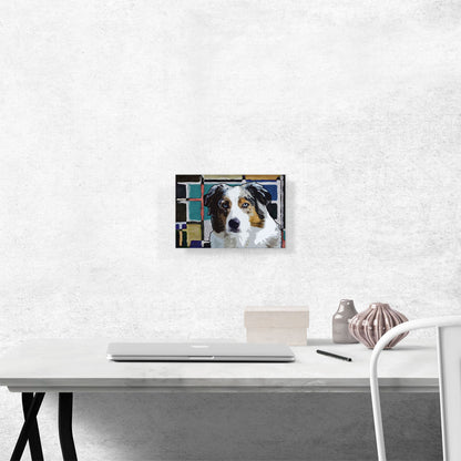 Australian Shepherd Dog Blue Yellow Black Geometric