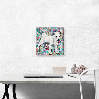 Shiba Inu Dog Breed Colorful Polka Dots