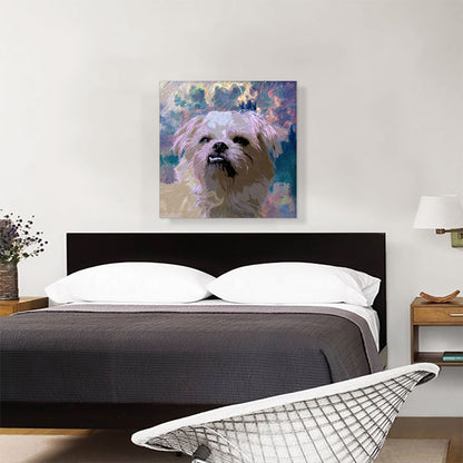 Shih Tzu Dog Breed