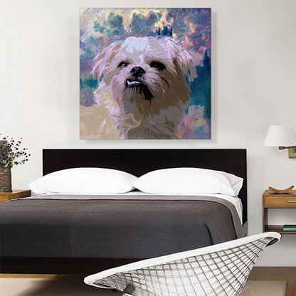 Shih Tzu Dog Breed