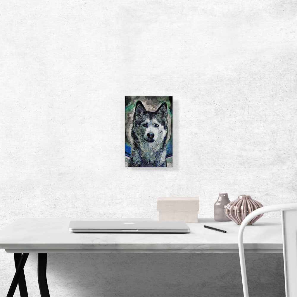 Siberian Husky Dog Breed Blue Green