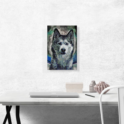 Siberian Husky Dog Breed Blue Green