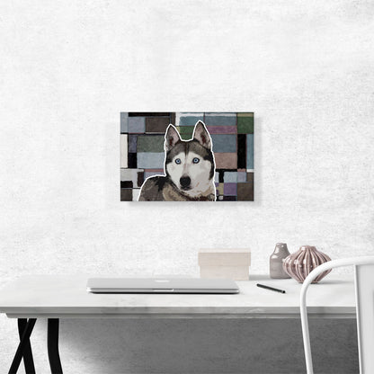 Siberian Husky Dog Breed