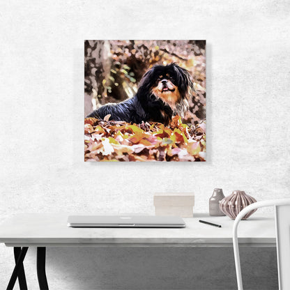 Tibetan Spaniel Dog Breed