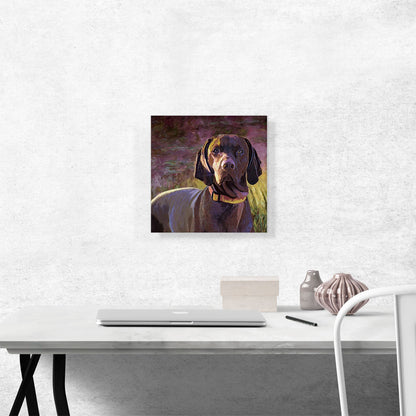 Vizsla Dog Breed Purple Yellow
