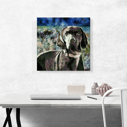Vizsla Dog Breed
