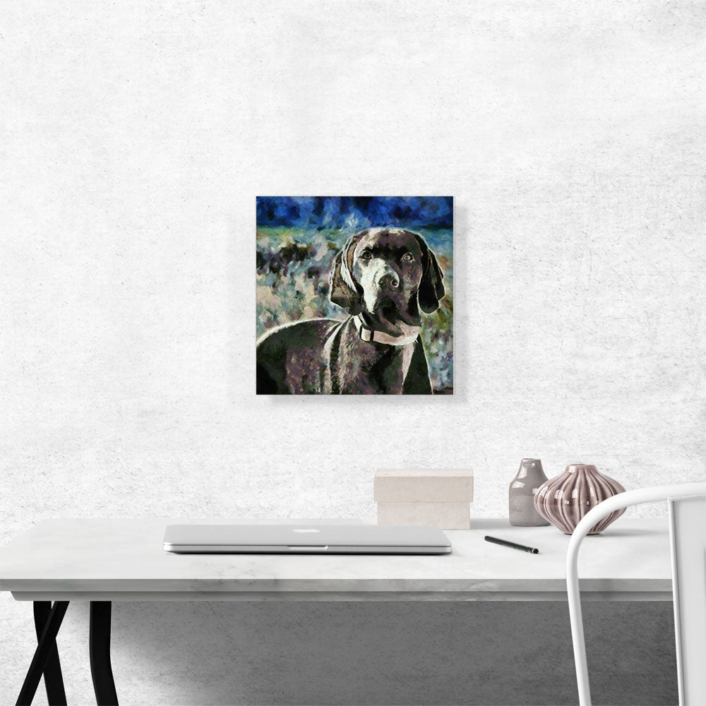 Vizsla Dog Breed