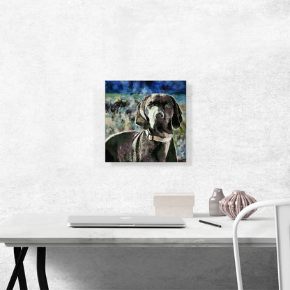 Vizsla Dog Breed