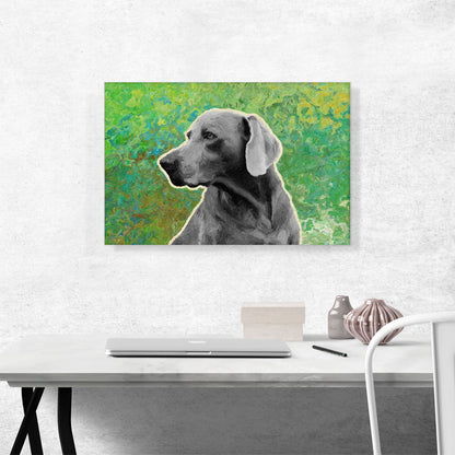 Weimaraner Dog Breed Green