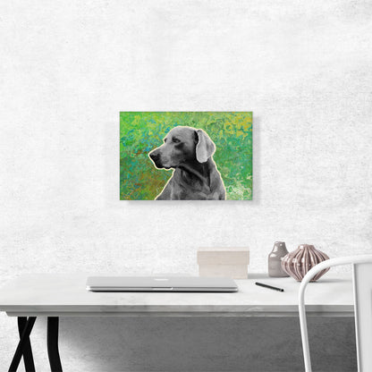 Weimaraner Dog Breed Green