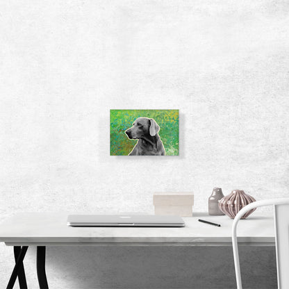 Weimaraner Dog Breed Green