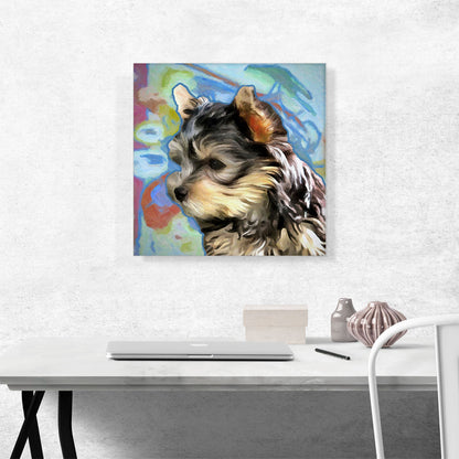 Yorkshire Terrier Dog Breed