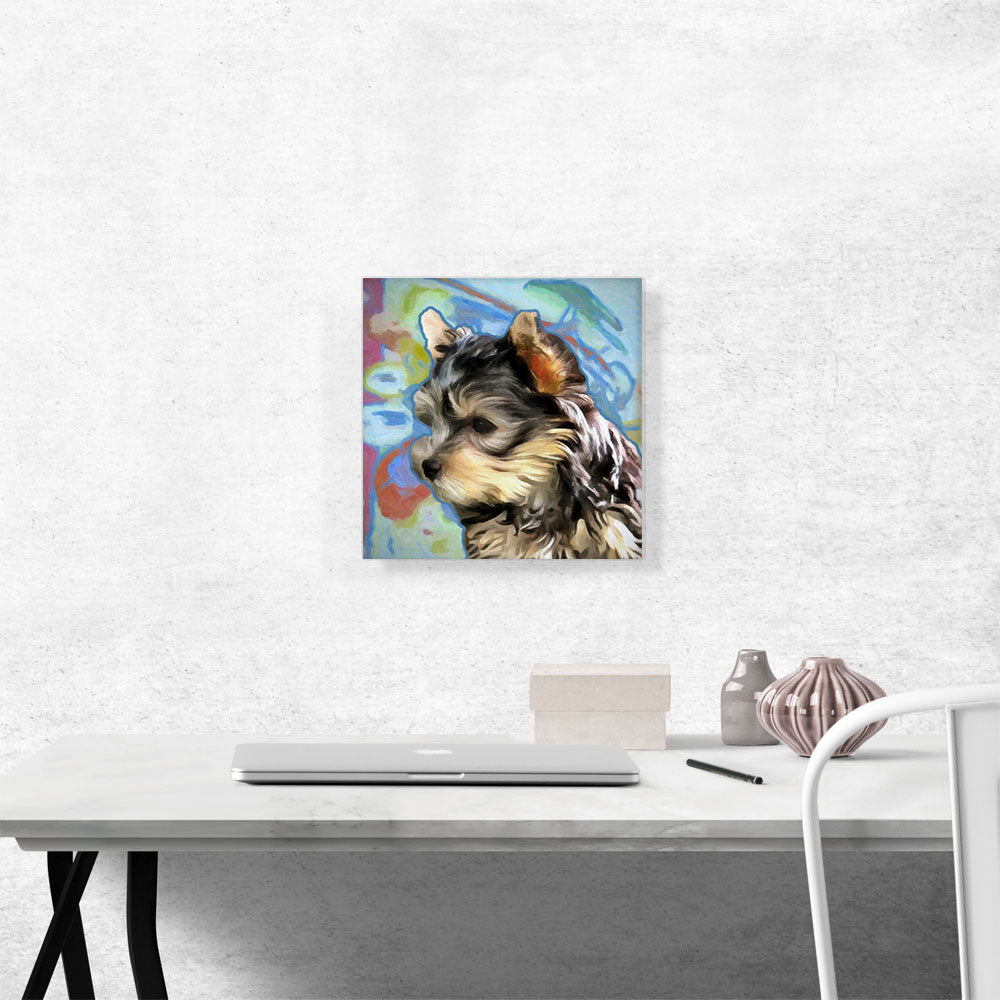 Yorkshire Terrier Dog Breed
