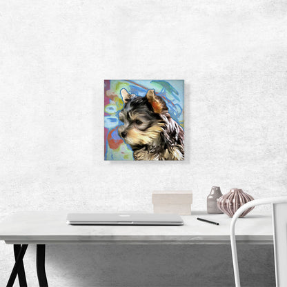 Yorkshire Terrier Dog Breed
