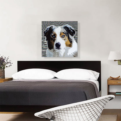 Australian Shepherd Dog Breed Lines