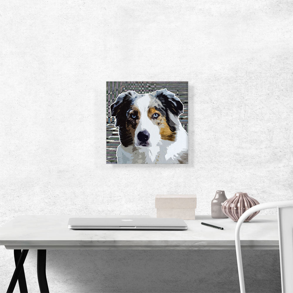 Australian Shepherd Dog Breed Lines