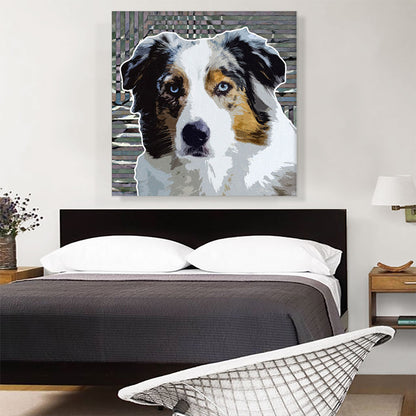 Australian Shepherd Dog Breed Lines