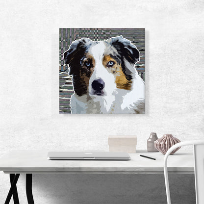 Australian Shepherd Dog Breed Lines