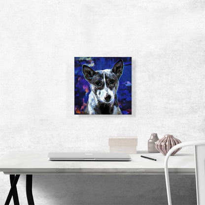 Basenji Dog Breed Blue