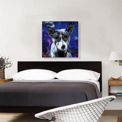 Basenji Dog Breed Blue