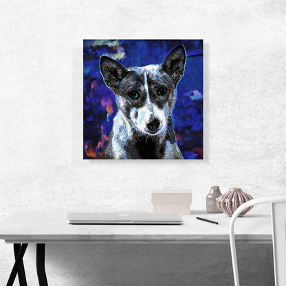 Basenji Dog Breed Blue